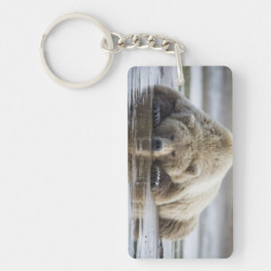 USA, Alaska, Katmai National Park, Brown Bear Keychain