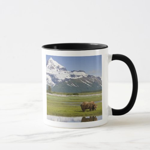 USA Alaska Katmai National Park Brown Bear Mug