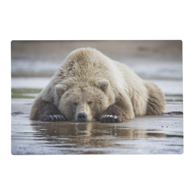 USA, Alaska, Katmai National Park, Brown Bear Placemat (Front)