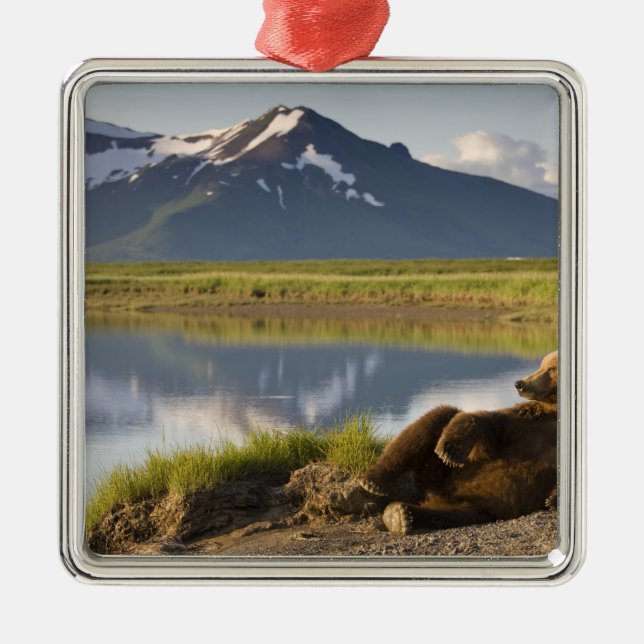 USA, Alaska, Katmai National Park, Brown Bears Metal Ornament (Front)