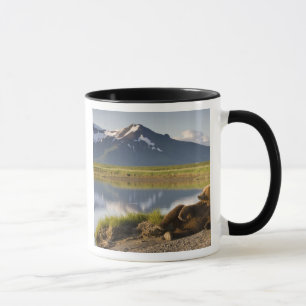USA, Alaska, Katmai National Park, Brown Bears Mug