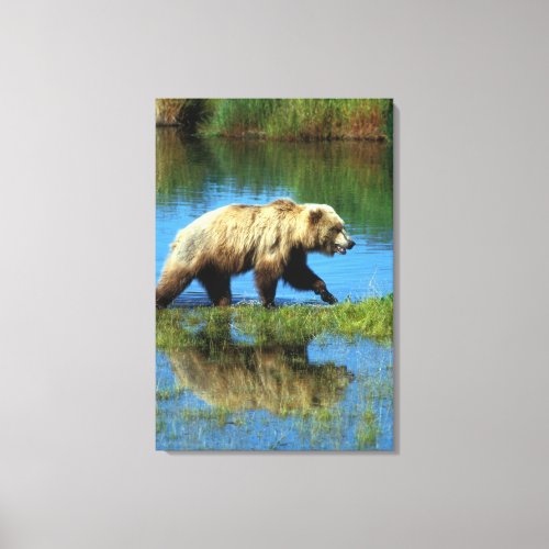 USA Alaska Katmai National Park Grizzly 4 Canvas Print