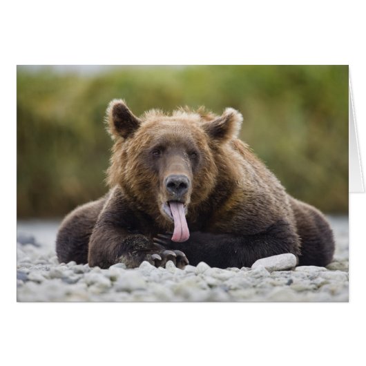 USA, Alaska, Katmai National Park, Kukak Bay, (Front Horizontal)