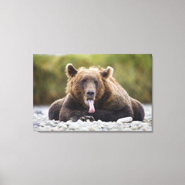 USA, Alaska, Katmai National Park, Kukak Bay, Canvas Print (Front)