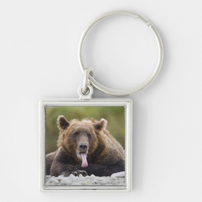 USA, Alaska, Katmai National Park, Kukak Bay, Keychain (Front)