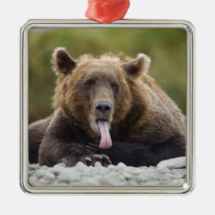 USA, Alaska, Katmai National Park, Kukak Bay, Metal Ornament