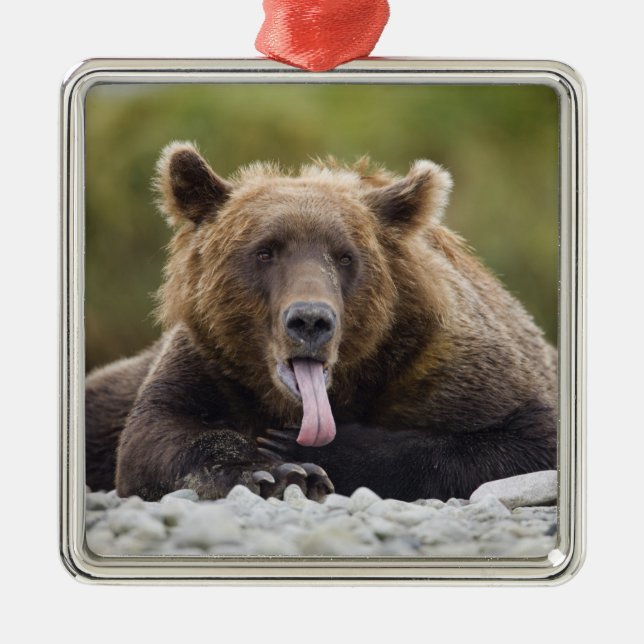 USA, Alaska, Katmai National Park, Kukak Bay, Metal Ornament (Front)