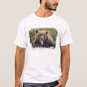 USA, Alaska, Katmai National Park, Kukak Bay, T-Shirt