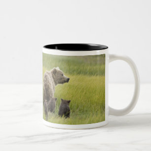 USA, Alaska, Lake Clark National Park. Grizzly Two-Tone Coffee Mug