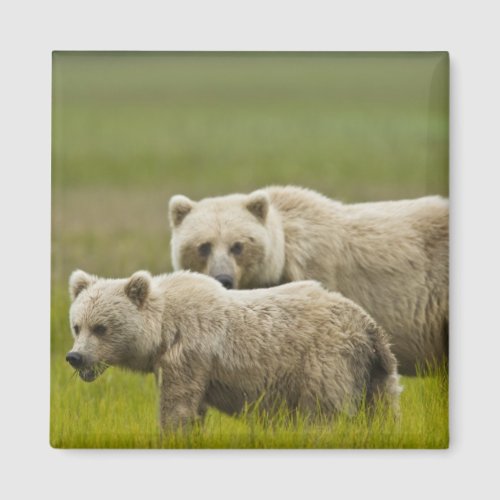 USA Alaska Lake Clark National Park Mom and Magnet