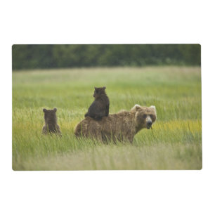 USA, Alaska, Lake Clark National Park Placemat