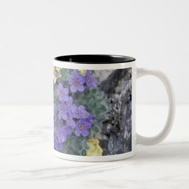 USA, Alaska National Wildlife Refuge (ANWR). 2 Two-Tone Coffee Mug (Right)