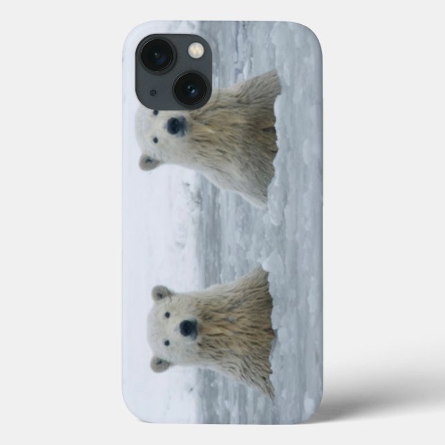USA, Alaska, North Slope, Polar Bears Case-Mate iPhone Case (Back)