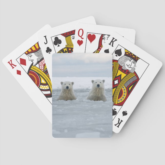USA, Alaska, North Slope, Polar Bears Poker Cards (Back)