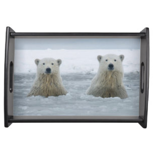 USA, Alaska, North Slope, Polar Bears Serving Tray