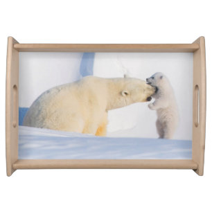 USA, Alaska, North Slope Polar Bears Serving Tray