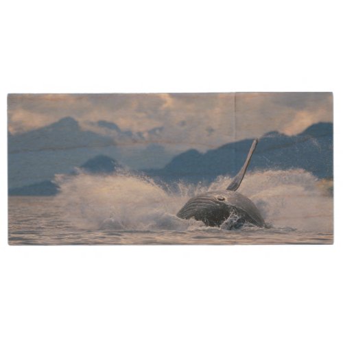 USA Alaska Tongass National Forest Humpback 4 Wood Flash Drive