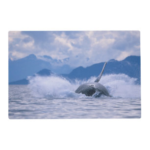 USA, Alaska, Tongass National Forest, Humpback Placemat