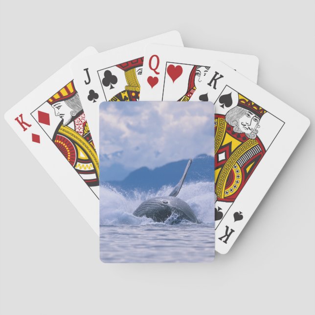USA, Alaska, Tongass National Forest, Humpback Poker Cards (Back)