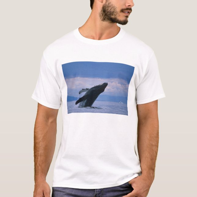 USA, Alaska, Tongass National Forest, Humpback T-Shirt (Front)