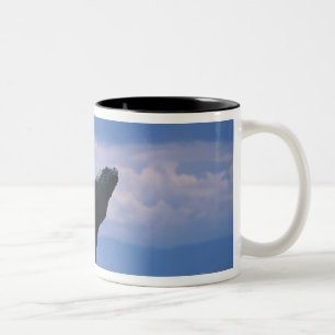 USA, Alaska, Tongass National Forest, Humpback Two-Tone Coffee Mug
