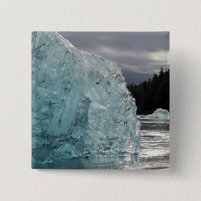 USA, Alaska, Tongass National Forest, Tracy 2 Button (Front)