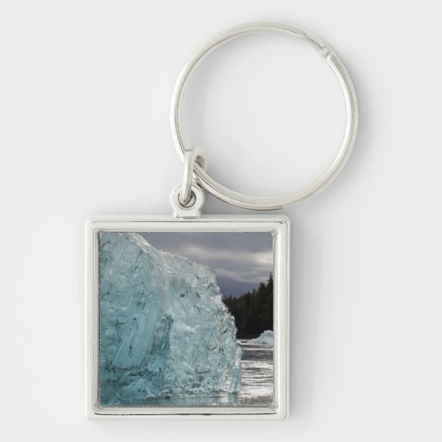 USA, Alaska, Tongass National Forest, Tracy 2 Keychain (Front)