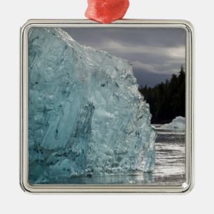 USA, Alaska, Tongass National Forest, Tracy 2 Metal Ornament
