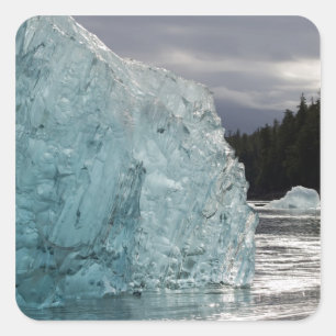 USA, Alaska, Tongass National Forest, Tracy 2 Square Sticker