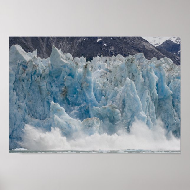 USA, Alaska, Tongass National Forest, Tracy Poster (Front)