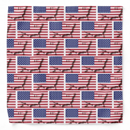 USA AMERICA Flag Map Bandana