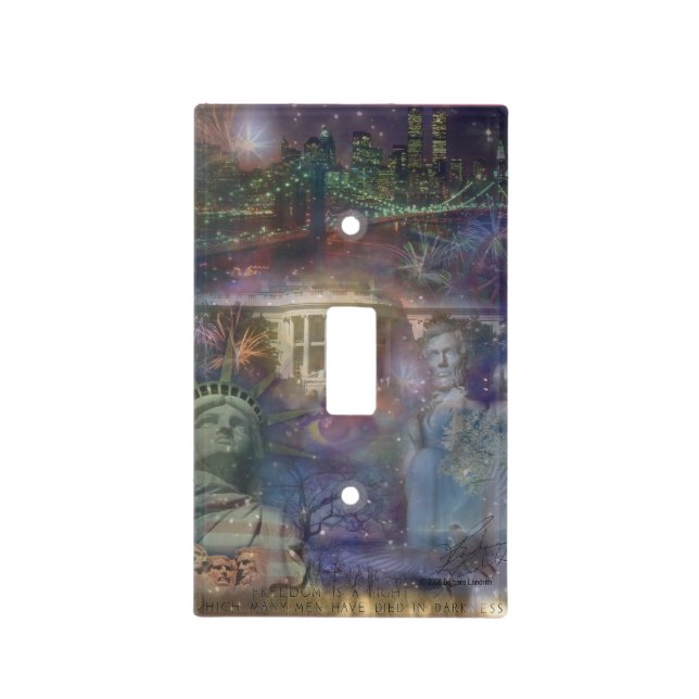 USA - America the Beautiful! Light Switch Cover (Front)