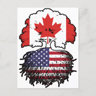 USA American Canadian Canada Tree Roots Flag Postcard