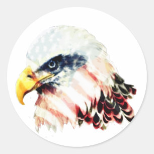 USA American Flag Bald Eagle Design Classic Round Sticker