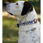 Usa American Flag Stars Stripes Dog Puppy Name Pet Collar at Zazzle