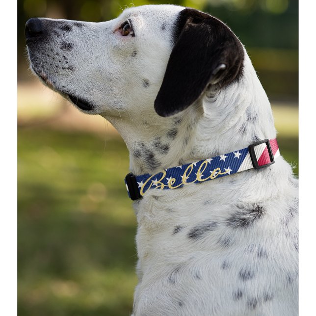 USA American Flag Stars Stripes Dog Puppy Name Pet Collar (USA American Flag Stars Stripes Dog Puppy Name Pet Collar)