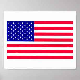 USA American US Flag Posters