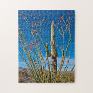 USA, Arizona. Cactus In Saguaro National Park Jigsaw Puzzle