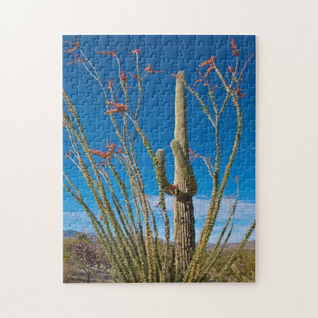 USA, Arizona. Cactus In Saguaro National Park Jigsaw Puzzle (Vertical)