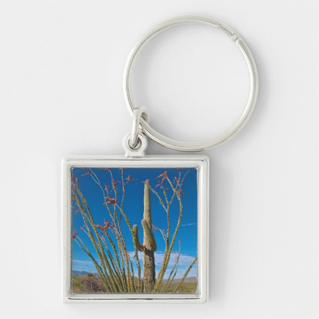 USA, Arizona. Cactus In Saguaro National Park Keychain (Front)