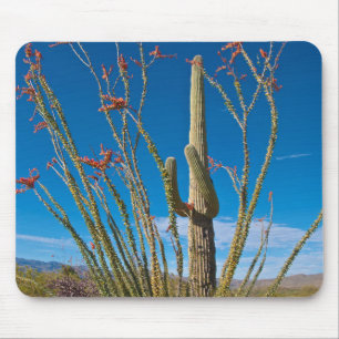 USA, Arizona. Cactus In Saguaro National Park Mouse Pad