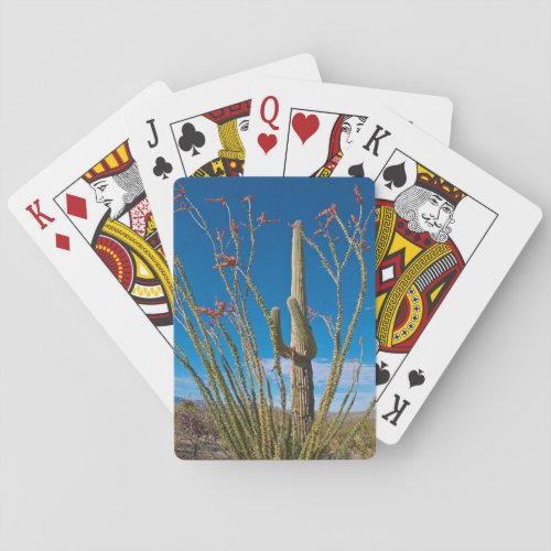USA Arizona Cactus In Saguaro National Park Playing Cards