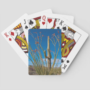 USA, Arizona. Cactus In Saguaro National Park Poker Cards