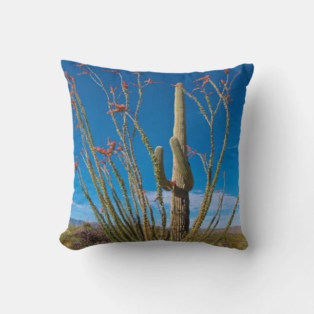 USA, Arizona. Cactus In Saguaro National Park Throw Pillow (Front)