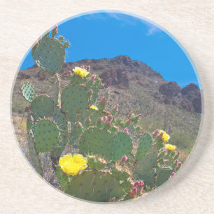USA, Arizona. Cactus In The Hills Coaster
