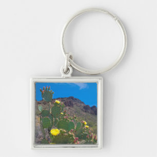 USA, Arizona. Cactus In The Hills Keychain