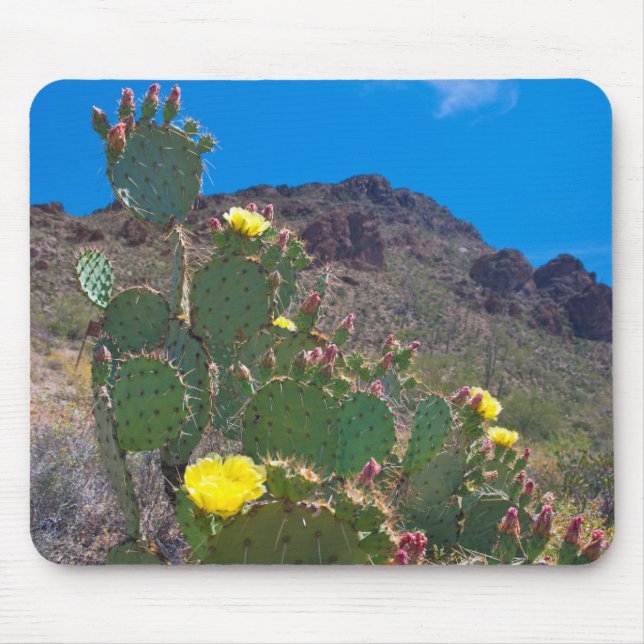 USA, Arizona. Cactus In The Hills Mouse Pad (Front)