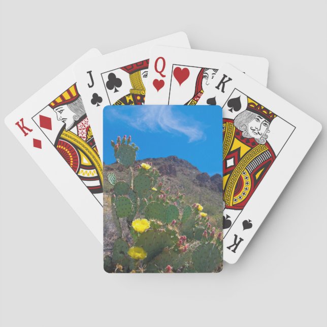 USA, Arizona. Cactus In The Hills Poker Cards (Back)