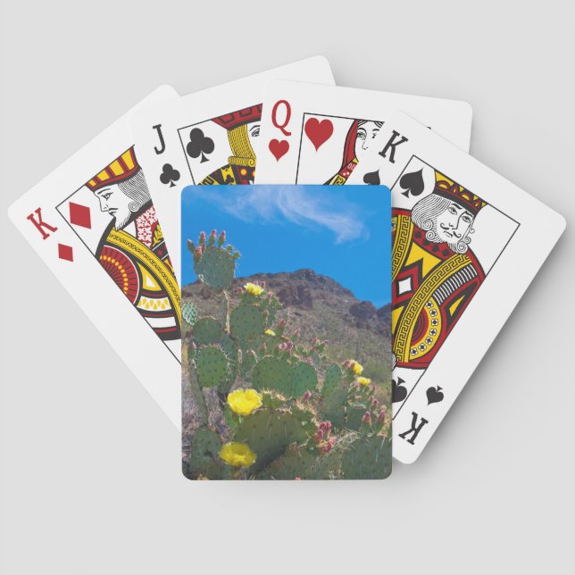 USA, Arizona. Cactus In The Hills Poker Cards (Back)