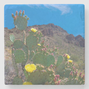 USA, Arizona. Cactus In The Hills Stone Coaster